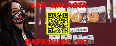 прущие грибы Краснознаменск