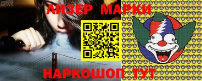 прущие грибы Краснознаменск