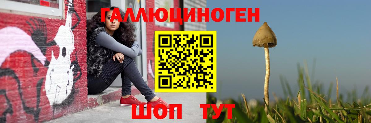 Галлюциногенные грибы прущие грибы Кирово-Чепецк